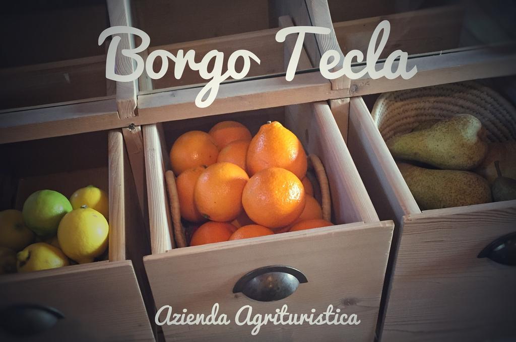 Agriturismo Borgo Tecla Rosà Buitenkant foto