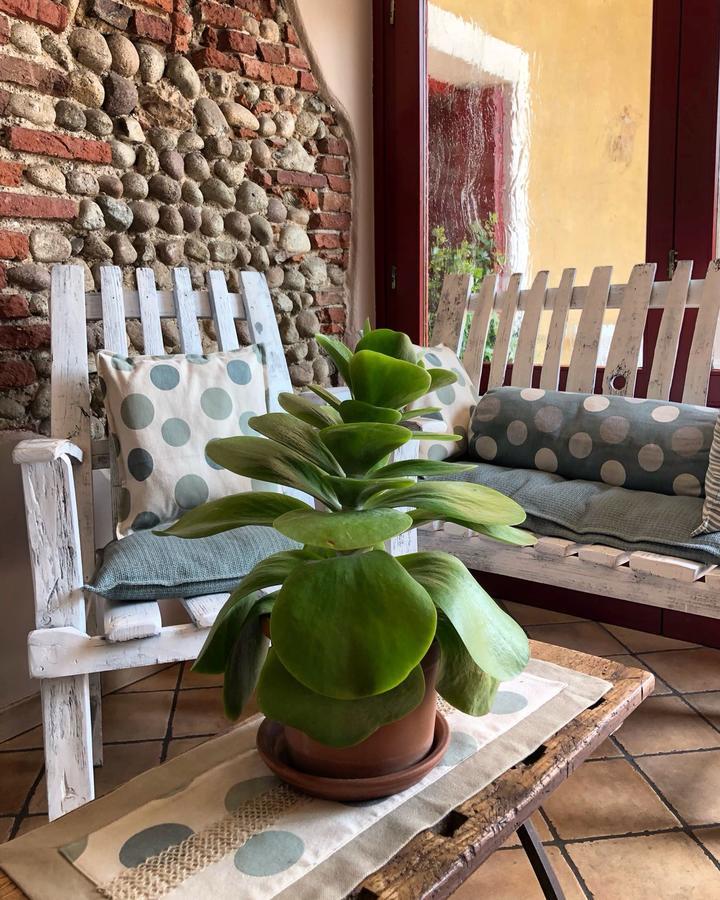Agriturismo Borgo Tecla Rosà Buitenkant foto